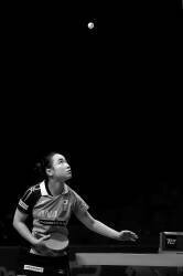 Serving (Rob Li) - Muzeo.com