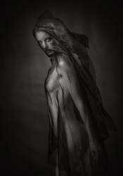 Sheer Black (Catchlight Studio) - Muzeo.com