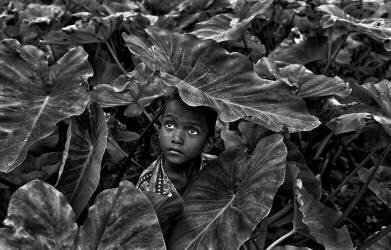 Shelter (Avishek Das ) - Muzeo.com