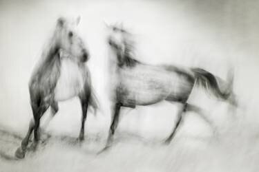 Shivers (Martine Benezech) - Muzeo.com