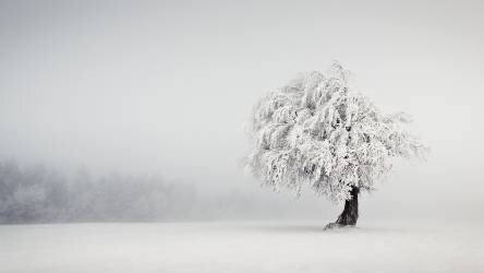 Silence (Andreas Wonisch) - Muzeo.com