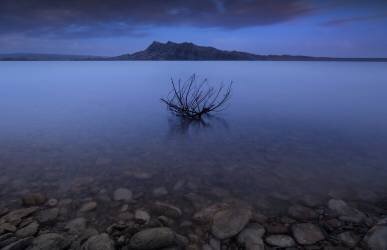 Silence (Farshad Sorkhi) - Muzeo.com