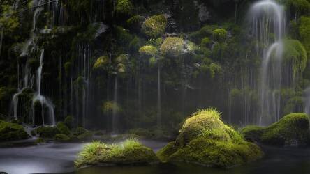 Silence (Kenjiro.S) - Muzeo.com