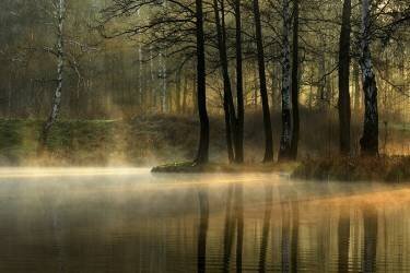 Silent light (Agnieszka Jankowska) - Muzeo.com