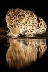 Single mother (Amnon Eichelberg) - Muzeo.com