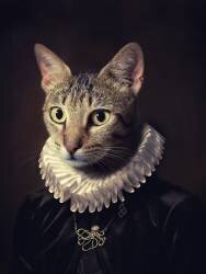 Sir Kiko (Paulo Dias) - Muzeo.com