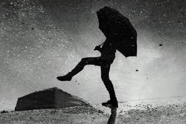 Skywalker (Ajven) - Muzeo.com