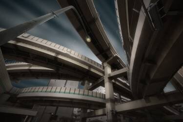 Snake (Amatou T) - Muzeo.com