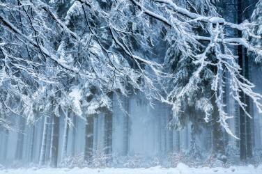 Snowworld (Anton van Dongen) - Muzeo.com