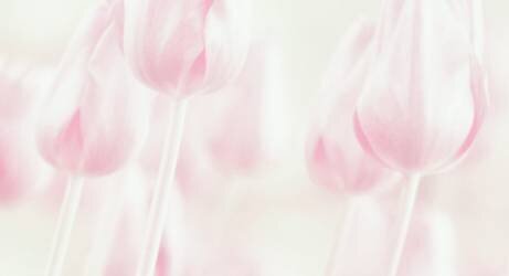 Softness (Delphine Devos) - Muzeo.com