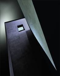 Solitary (Gilbert Claes ) - Muzeo.com