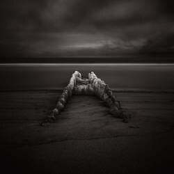 Solscape (Ronny Behnert) - Muzeo.com