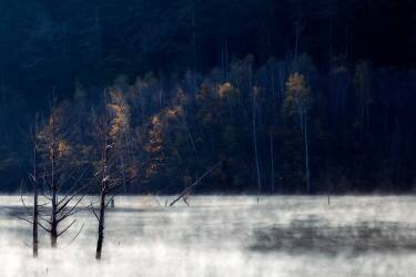 Spot Light (Takeshi Mitamura) - Muzeo.com