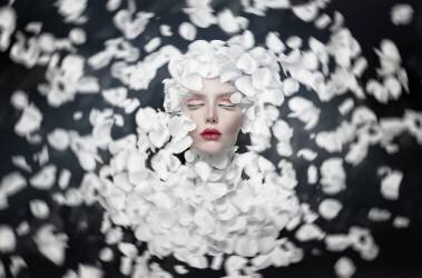 Spring (See plus) - Muzeo.com