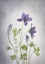 Spring (Binbin Lu) - Muzeo.com