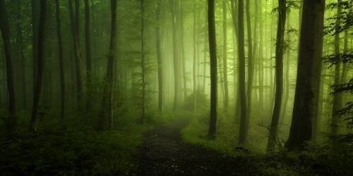 Spring Promise (Norbert Maier) - Muzeo.com