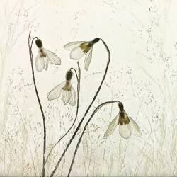 Springtime! (Nel Talen) - Muzeo.com