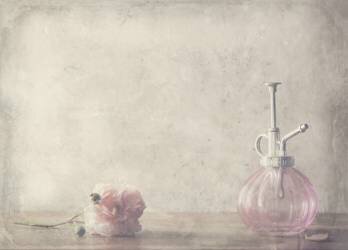 Stay (Delphine Devos) - Muzeo.com