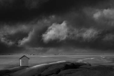 Stayngs huvud (Clas Gustafson) - Muzeo.com