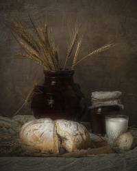 Still life (Yasmin Elsharma) - Muzeo.com