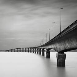 Study 2 (Ronny Behnert) - Muzeo.com