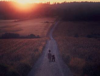 Summerset (Artur Pardo) - Muzeo.com