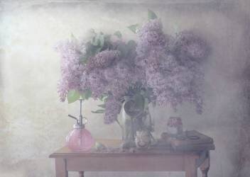 Sweet Lilacs (Delphine Devos) - Muzeo.com