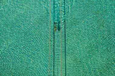 Swimmer (Hossein Nikzad Amoli) - Muzeo.com