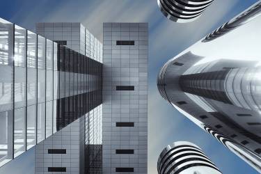 Symbiosis (Gerard Jonkman) - Muzeo.com