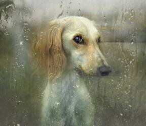 That autumn (Svetlana Melik-Nubarova) - Muzeo.com