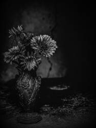 The Cracks (Delphine Margau) - Muzeo.com