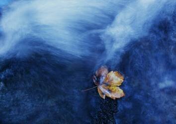 The landing (Michel Manzoni) - Muzeo.com