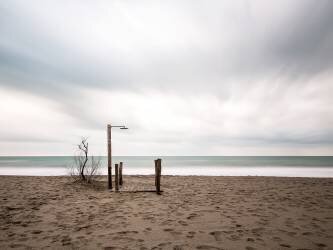 The Last (Massimo Della Latta) - Muzeo.com