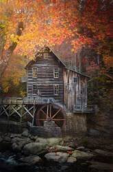 The Mill (Catherine W.) - Muzeo.com