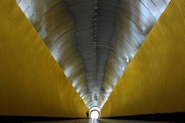 The musician (Klaus Lenzen) - Muzeo.com