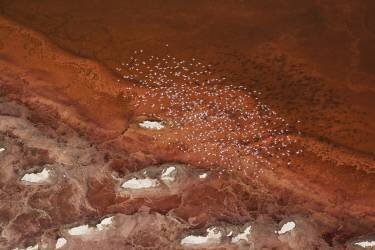 The overlook (Phillip Chang) - Muzeo.com