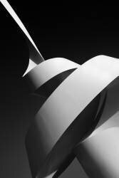 The scroll (Joao Galamba) - Muzeo.com