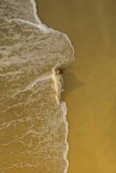 The Sea (Mike Darzi) - Muzeo.com