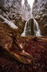 The transition (Anastasios Gialopoulos) - Muzeo.com