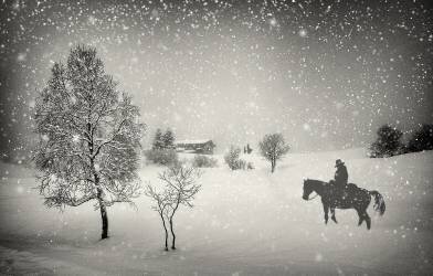 The waiting (Vito Guarino) - Muzeo.com