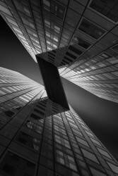 The Z-line (Jef van den Houte) - Muzeo.com