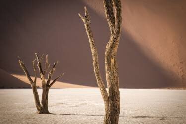 Time textures (Linda Wride) - Muzeo.com