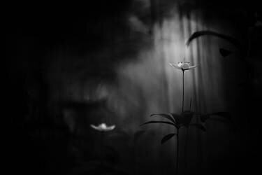 Together (Mika Suutari) - Muzeo.com