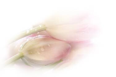 Touching (Stefan Eisele) - Muzeo.com