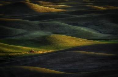 Tractor (Rob Darby) - Muzeo.com