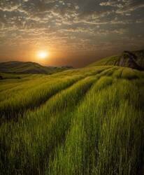 Tuscany's energy (Isam Telhami) - Muzeo.com