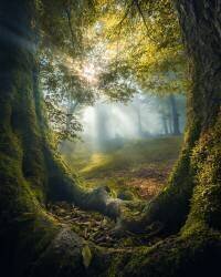 Two brothers (Armin Ramezanzad) - Muzeo.com