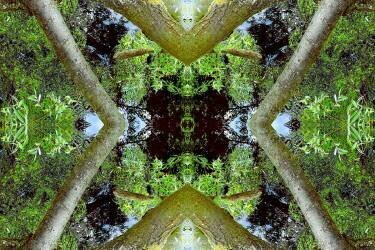 Unnatural 65 (Giovanni Cafagna) - Muzeo.com