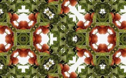 Unnatural 77 (Giovanni Cafagna) - Muzeo.com