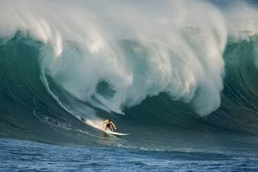 Untitled (David H Yang) - Muzeo.com